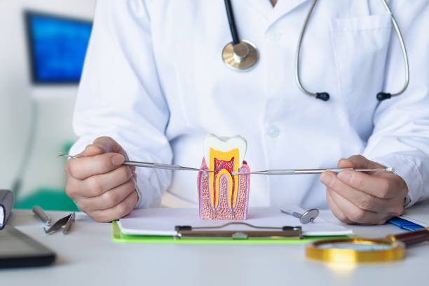 Best Emergency Dental Care for Abscessed Tooth in Manson, IA